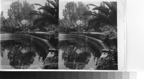 Nature's mirrored splendor, Smiley Park, Redlands, Calif