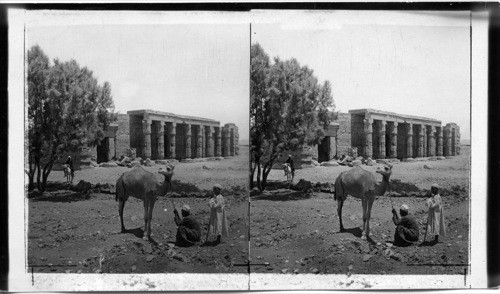 Looking North to the Mortuary Temple of Sethos I. Thebes. Egypt