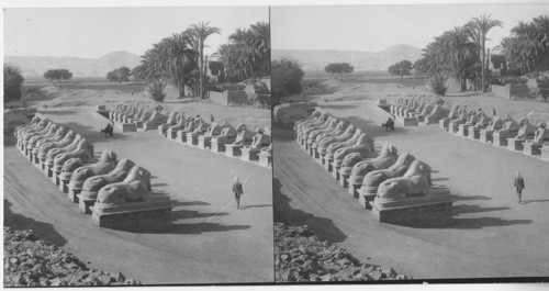 Avenue of Sphinxes, Upper Egypt