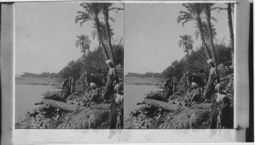 An irrigating sakkiyeh on the bank of the Nile