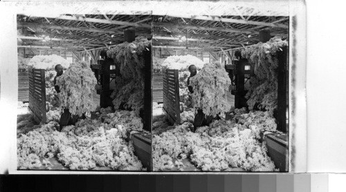 California. Baling wool for shipment. Tryon Wool Scouring Plant, Stockton, Calif