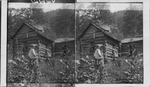 Uncle Tom's Cabin. One mule plow and log cabin. N. Carolina