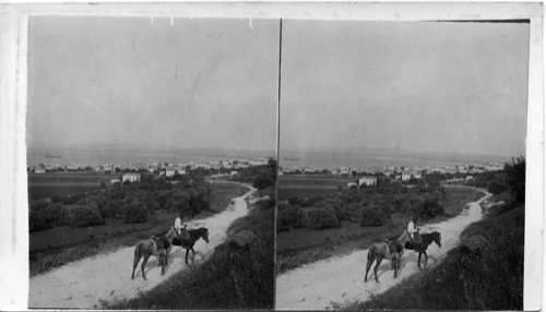 Panorama of Haife and the Bay of Acre, Syria