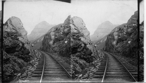 R.R. Cut Near Field. B.C., Mount Stephen in Distance