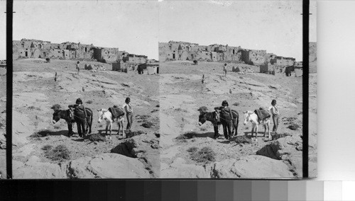 Indian Reservation. Indian with Donkey in foreground. Arizona