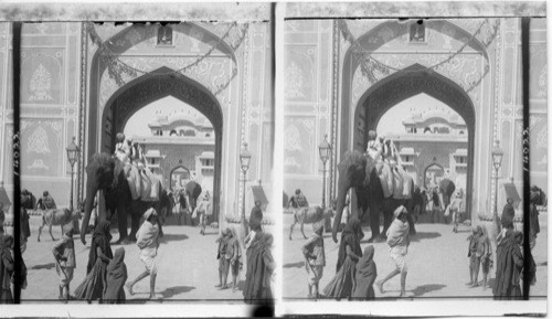 An Oriental Omnibus Elephant with its load of passengers, at the Palace Gate. Jaipur, India