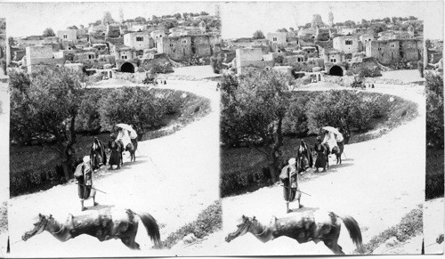 Bethany from the Jericho Roads, Palestine