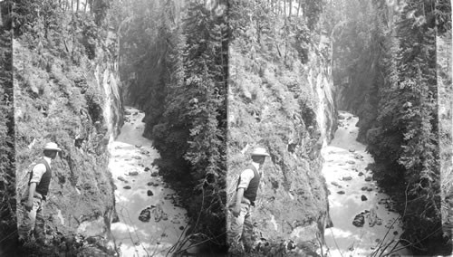 The Gorge in Nisqually Canyon near Mt. Rainier. Washington