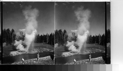 Riverside Geyser. Lowe 1948