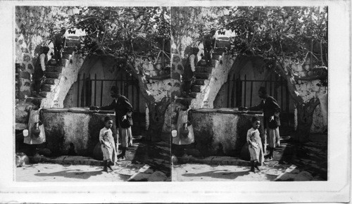 Court and well in the House of Simon the Tanner, Jaffa, Palestine