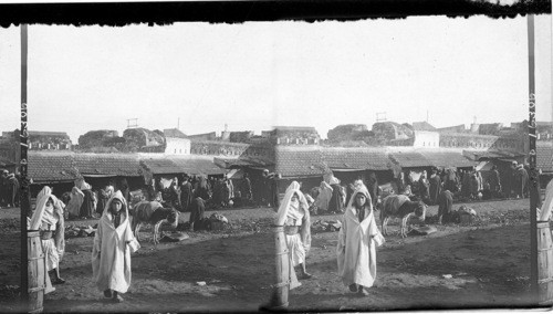 In the Soko or market, Tangier, Morocco