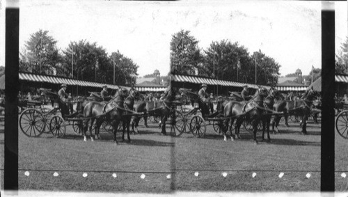 Reginald Vanderbilt, the young millionaire and is fiancé, Great Horse Show, Newport R.I