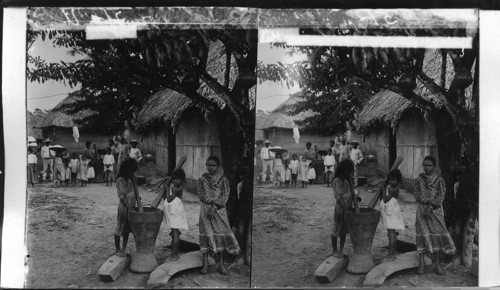 Pounding rice, native life in the interior of the Isthmus. Panama