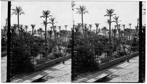 Bird’s - Eye view of Old Cairo, Egypt