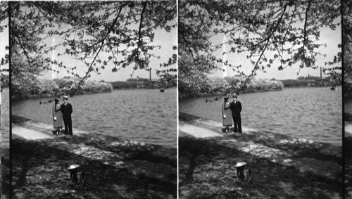 A Bridal Couple in Washington in Spring