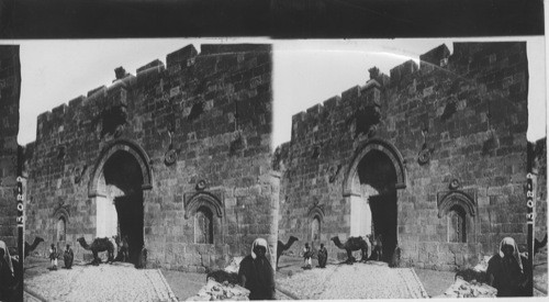 The Zion Gate, Jerusalem, Palestine