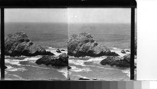 Seal Rocks and Pacific from the Cliff House, San Francisco, Calif