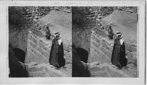 Entrance to the Virgin’s Fountain Valley of Jehosaphat, Jerusalem, Palestine