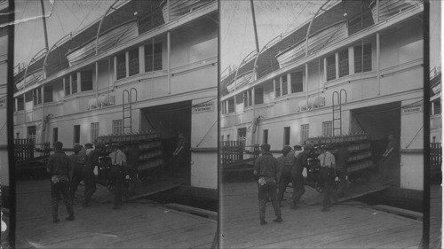 Loading fruit on steamer for Toronto, Niagara Falls, Ontario