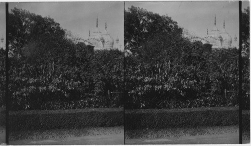 Delhi, Pearl Mosque, India