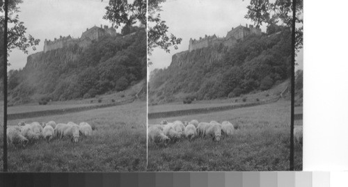 Stirling castle, seat of old time kings, seen from old time tilting ground below, Stirling, Scotland