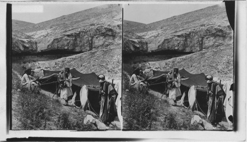 A Bedouin Tent in Wilderness of Judea. Palestine