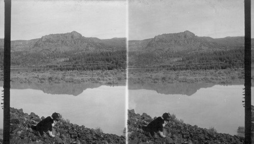 Columbia River Scenery, Oregon