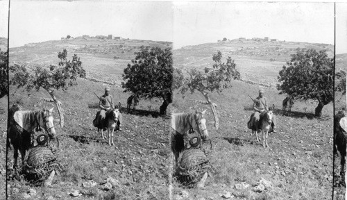 Rameh from the south. Palestine