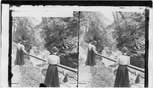 View From Above Central Cascade, Watkins Glen. New York