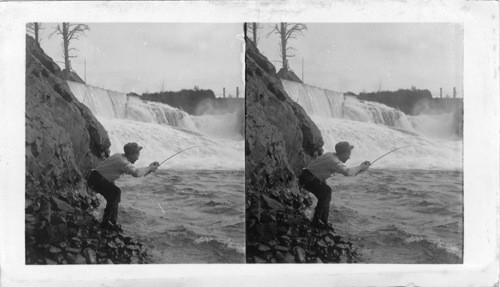 Fast to a big salmon in the wild waters below Spokane Falls, Spokane, Washington