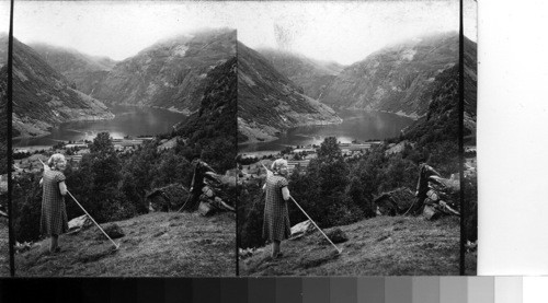 Haymaking above the Geiranger Fjord. Norway