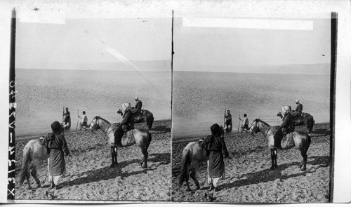 On the North Shore of the Dead Sea. Looking S. W. Palestine