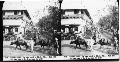 Inscribed in recto: 9153. CHANDNI CHOWK, the main street of DELHI, INDIA. Wide, and with two rows of fine trees down the centre