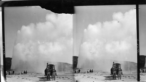 Old Faithful in action (150 ft.). the chief attraction of the Upper Geyser Basin. Yellowstone Park