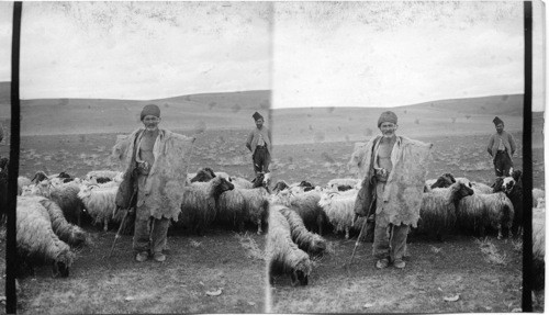 A Shepherd and His Flock. Mesapotamia