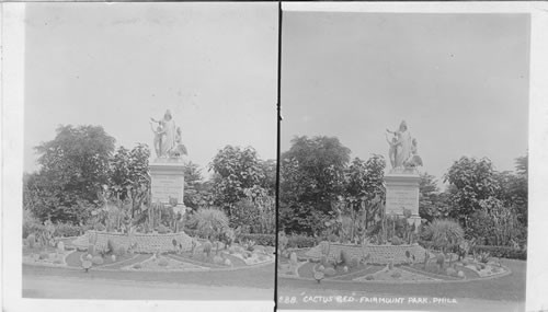 Cactus Bed, Fairmount Park, Philadelphia, Pa