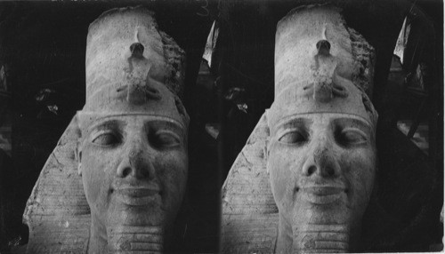 Head of the Second Colossal statue of Ramsee II Memphis, Egypt