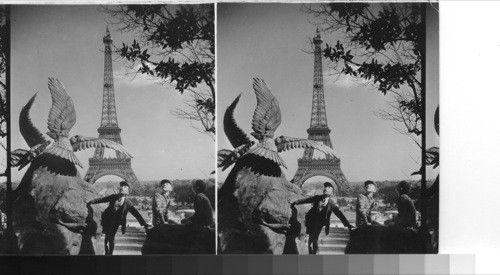 Champs de Mars and the Eiffel Tower from the Trocadero Palace. Paris