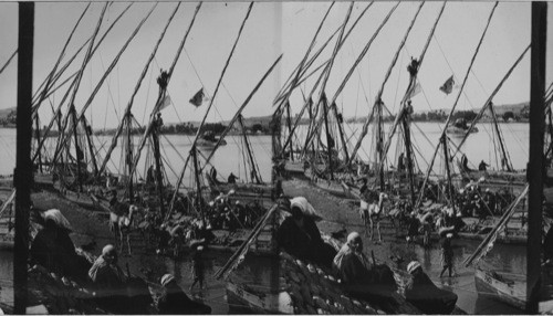 An arab market Boat on the nile. Egypt