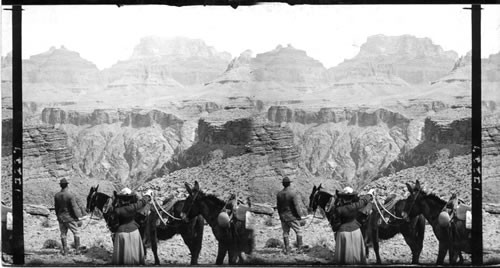 Angel's Gateway and Newberry Terrace from the Plateau, Grand Canyon