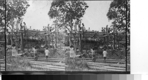 Building A Filipino House. Making The Frame. Philippines