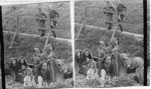 Nepalese vegetable sellers - Darjeeling. India