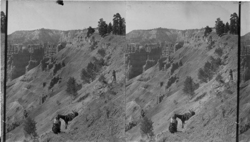 Starting down trail, Bryce Canyon, Utah