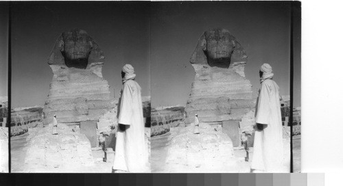 Showing the newly cleared base of the great Sphinx. Giza, Egypt