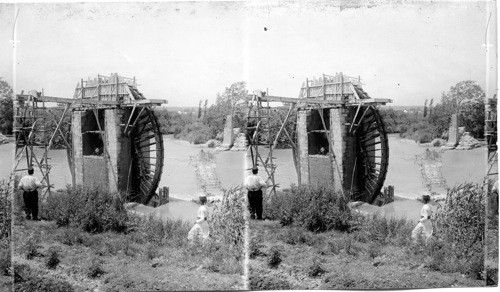 Primitive Irrigation wheel. Syrian Antioch, Bibical Asia Minor