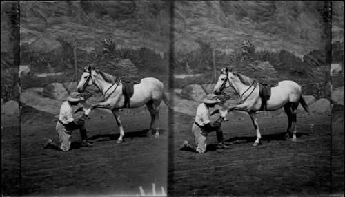 A Human incident of the Boer War. La. Purchase Exposition. St. Louis, Mo