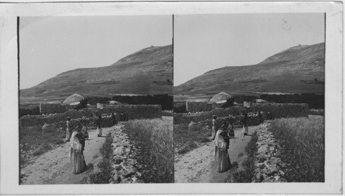 General View of Joseph’s Tomb and Mt. Gerizin