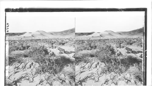 A Sand Dune, near Fallon, Nevada