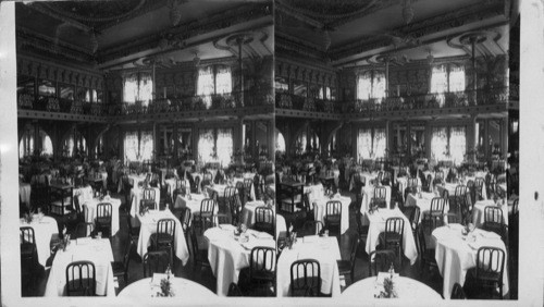 Dining Room of the Cafe "Marten" Old "Delmonicos." (Historic - Delmonico's is now a thing of the past.-) RBH. [E.W. Kelley, c. 1904 (EWE '84)]