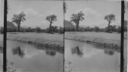 Intervale Vista of Mt. Washington, N. H